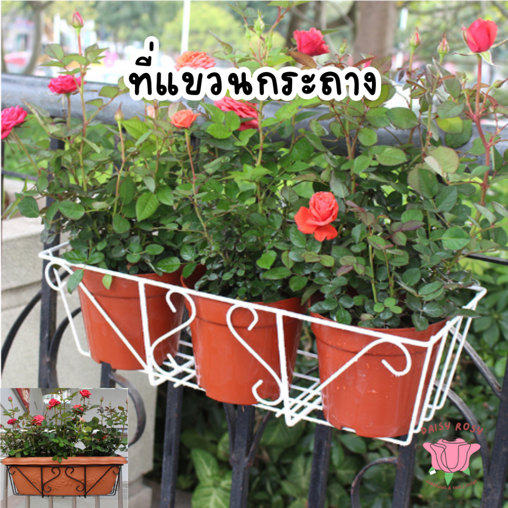 ที่แขวนกระถางต้นไม้ ชั้นวางกระถางดอกไม้ ที่แขวนต้นไม้ flower pot holder