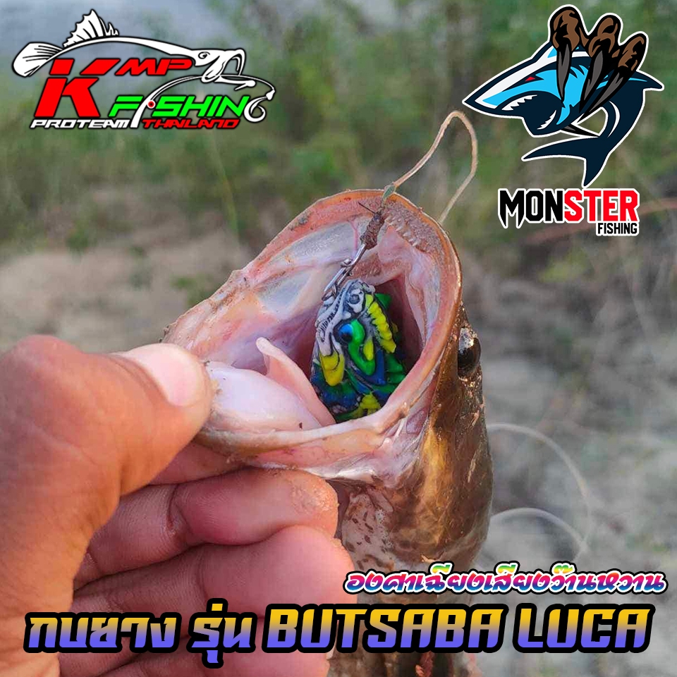 Thumbnail 7