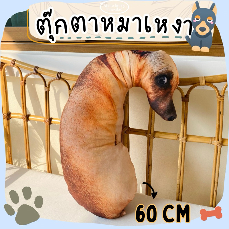 พร้อมส่งจากไทย ตุ๊กตาหมาหงอย หมอนหมาเหงา หมอนหมาจ๋อย ขนาด60cm ใบใหญ่ สีสวยคมชัด สต็อคแน่น พร้อมส่ง มีเก็บปลายทาง