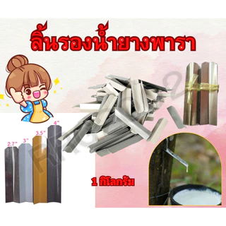ชุดถ้วยยางพาราครบชุด (ขนาด 1.5 ลิตร) (ถ้วยยาง+ลวดยาง13 +ลิ้นยาง2.7นิ้ว) 50 ชุด
