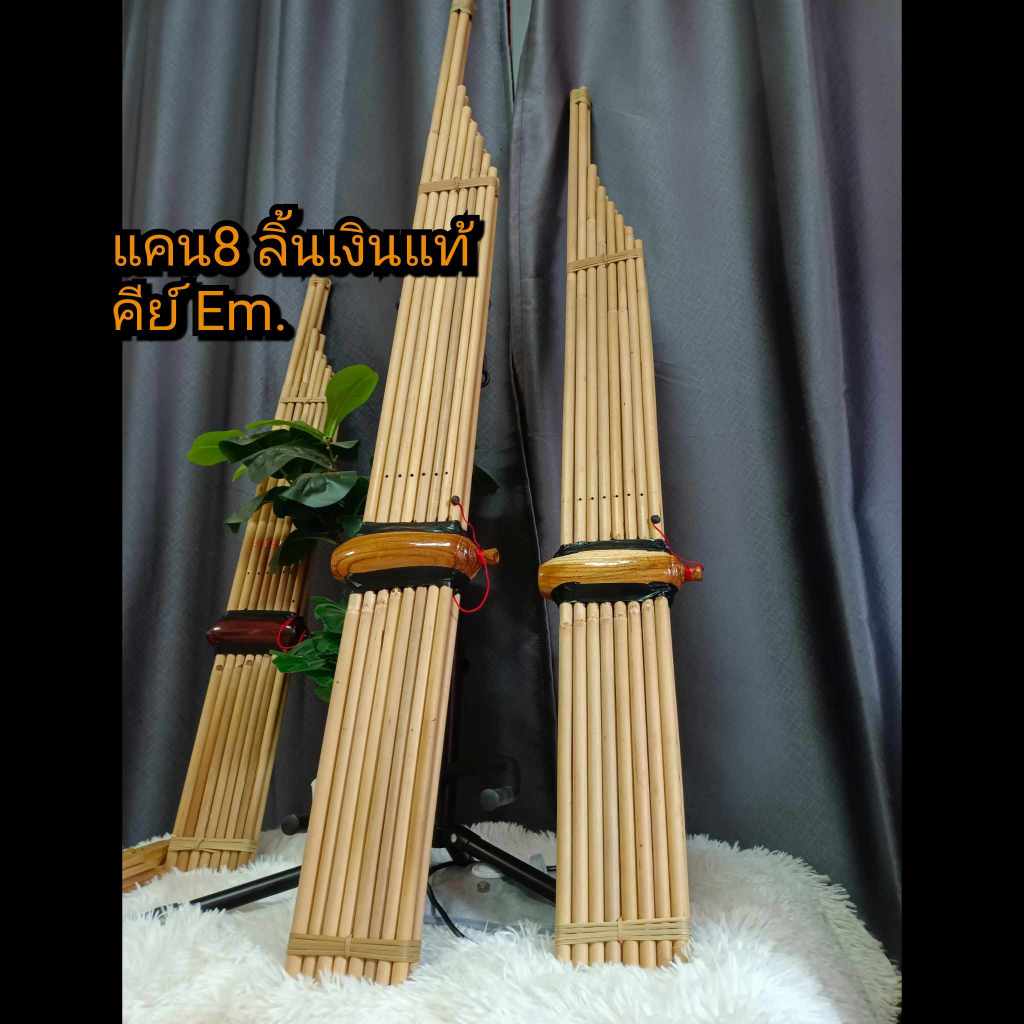 แคนออกงาน คีย์EM. เสียงดี มาตรฐาน ฟรี กระเป๋า