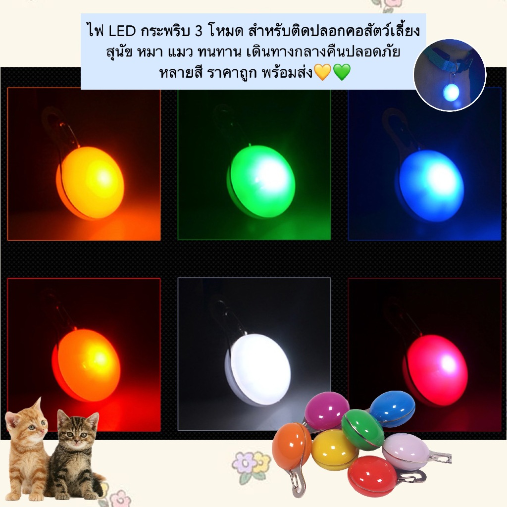 PP-850 ไฟ LED ติดปลอกคอสัตว์เลี้ยง 💡✨ 3 โหมดกระพริบ ปลอดภัยยามค่ำคืน สำหรับหมา-แมว ทนทาน น้ำหนักเบา พร้อมส่งหลายสี 💛💚