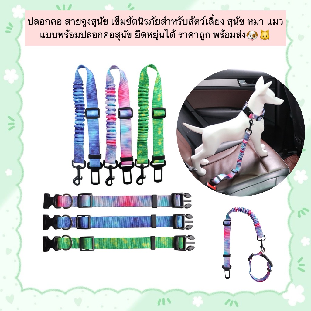 PP-855 ปลอกคอ สายจูงสุนัข เข็มขัดนิรภัยสำหรับสัตว์เลี้ยง สุนัข หมา แมว แบบพร้อมปลอกคอสุนัข ยืดหยุ่นได้ ราคาถูก พร้อมส่ง