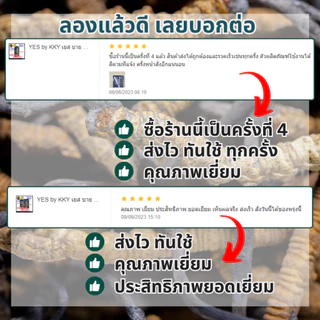 YES เยส (3 กล่อง) ผลิตภัณฑ์เสริมอาหาร สำหรับผู้ที่ชอบดูแลสุขภาพ ประกอบด้วยสมุนไพร 11 ชนิด ของแท้