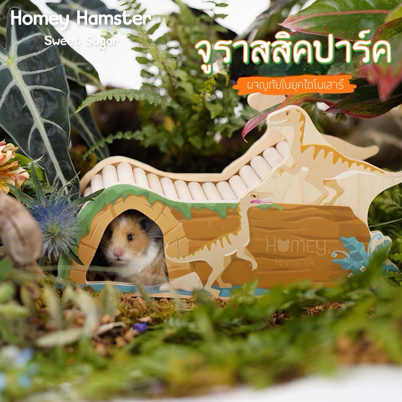 Homey Hamster บ้านหลบแฮมสเตอร์ Sweet Sugar ของแต่งกรง ท่อมุด กล่องขุดจักรแฮมสเตอร์ กรงแฮมสเตอร์ รองกรง เม่น กล่องขุด หนู