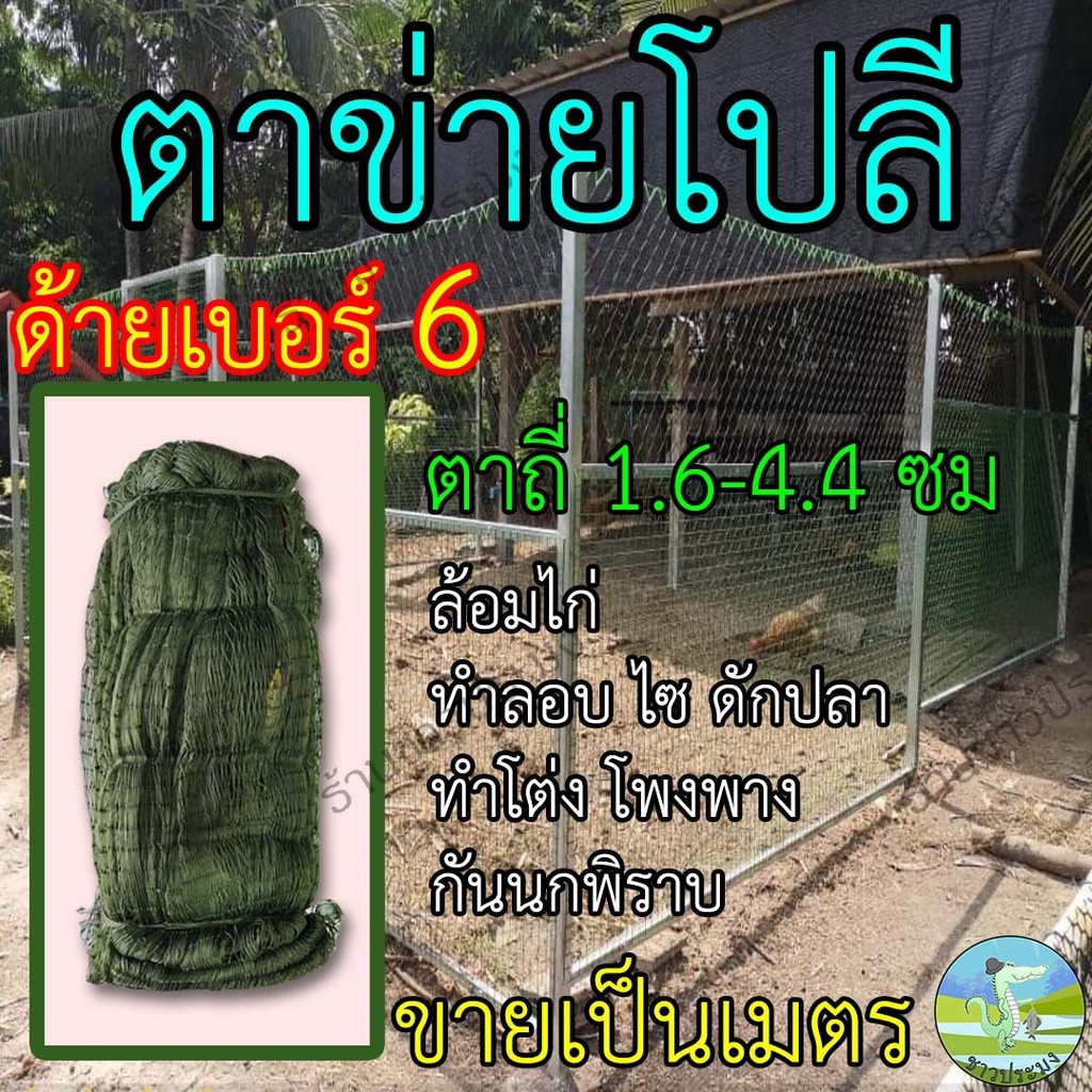 ตาข่ายโปลีเขียว โปลีแดง ด้ายเบอร์ 6 ขนาดตา 1.6-4.4 เซน ขายเป็นเมตร ตาข่ายล้อมไก่ อวนโปลี  ดางล้อมไก่