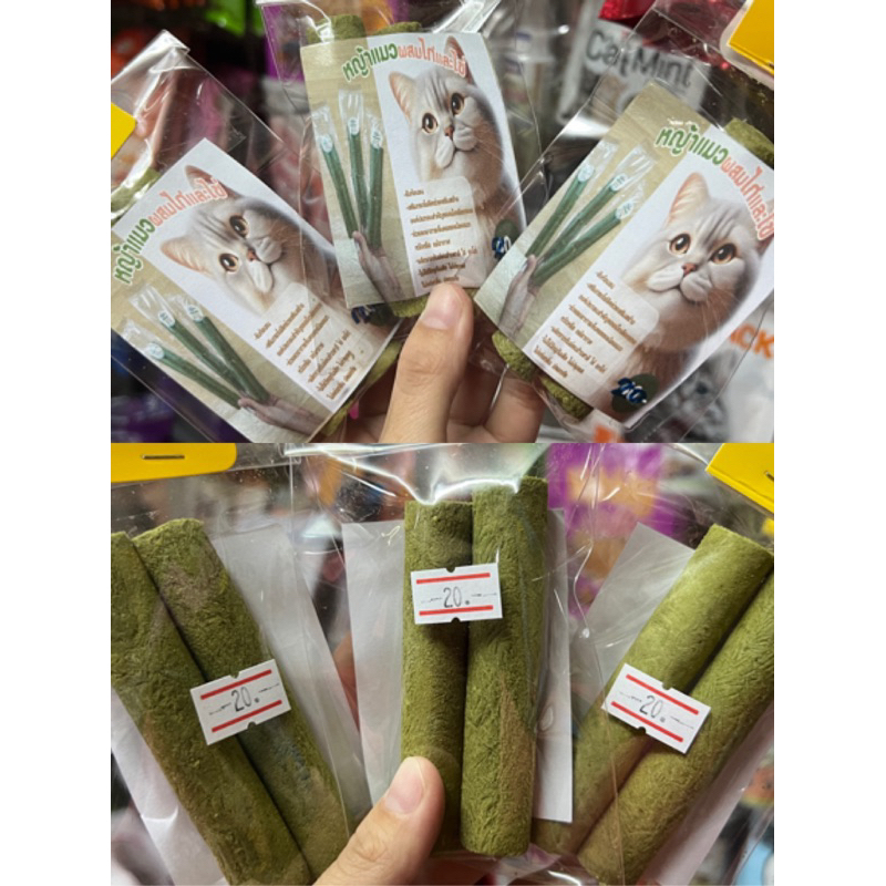 หญ้าแมวผสมไก่และไข่ ต้นอ่อนข้าวสาลี หอม อร่อย แมวชอบมาก ขับก้อนขน มีประโยชน์มากมาย ไม่ปรุงรส ไม่ใส่วัตถุกันเสีย