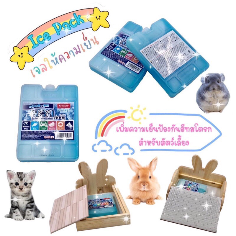 ❄️พร้อมส่ง❄️เจลเก็บความเย็น(ใช้ซ้ำได้)