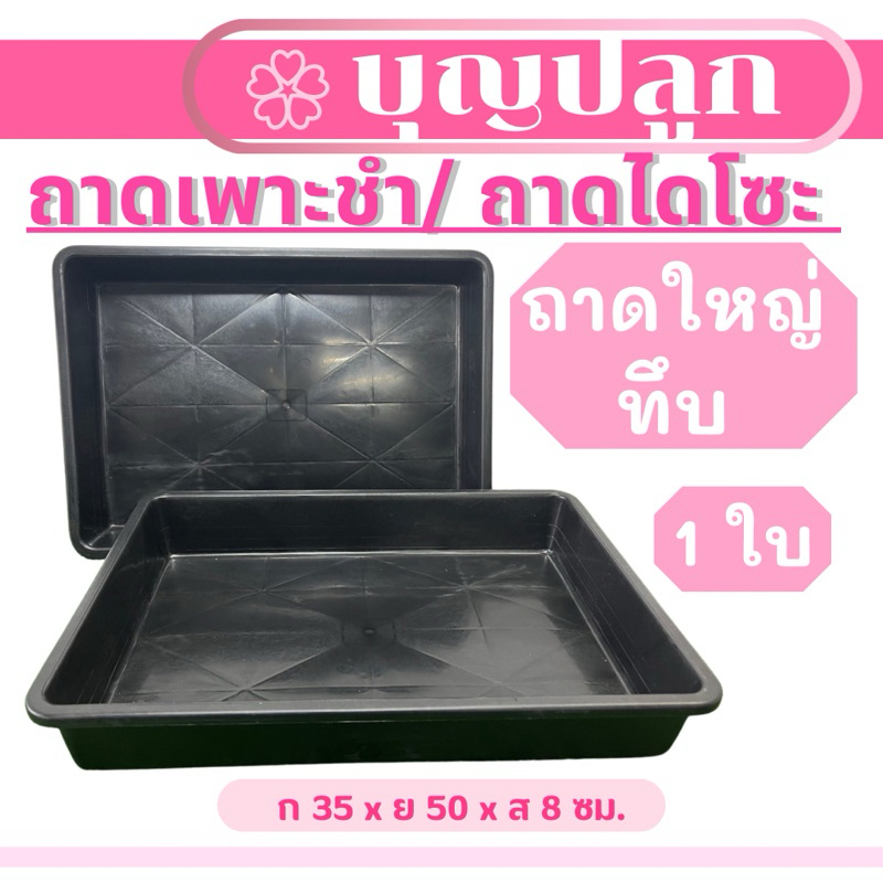 (1ใบ/ 3ใบ) ถาดเพาะ ไซส์ใหญ่ทึบ ถาดไดโซะ เพาะต้นอ่อน วางต้นไม้ แคคตัส XL