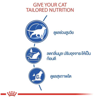 [INDOOR 7ปี+ แมวแก่] Royal Canin อาหารแมวแก่ ชนิดเม็ด INDOOR 7+ ขนาด 1.5,3.5kg