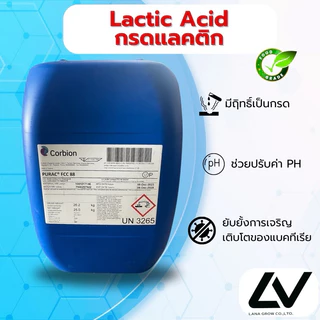 Lactic Acid :กรดแลคติก 1 kg