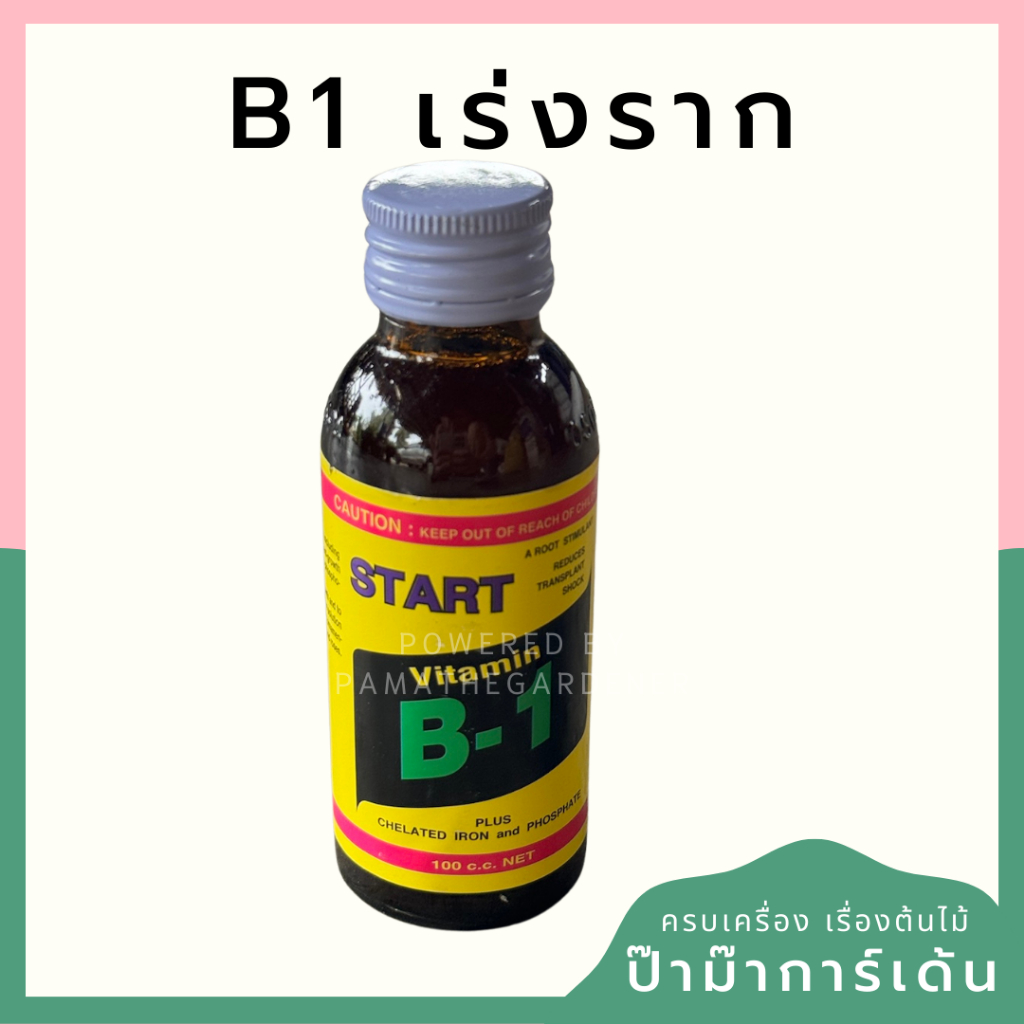 มุมมอง 2