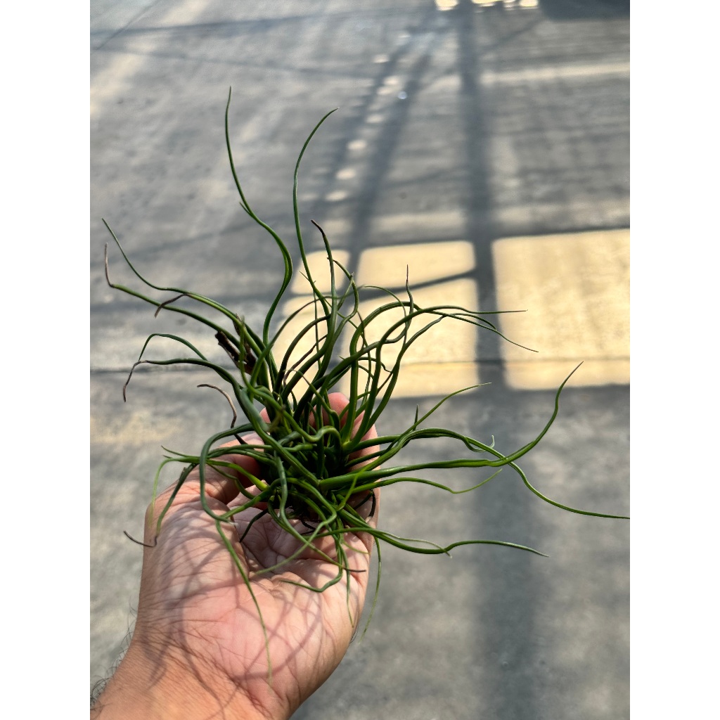 มุมมอง 2