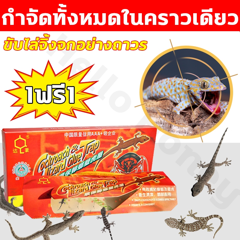 🦎มีสารดึงดูดตุ๊กแก🦎  ดักจิ้งจก บ้านจิ้งจก การจับตุ๊กแกทางกายภาพ กรงดักจิ้งจก ปลอดภัยยิ่งขึ้น ไม่มีสารเคมี ไร้กังวล