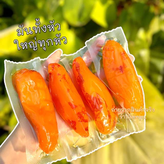 (มันทั้งหัว1กิโล-) มันหนึบญี่ปุ่น มันเกรดพรีเมี่ยมคละไซส์ เกรดAนุ่มพิเศษ มันหนึบญี่ปุ่น พันธ์ุเบนิฮารุกะ