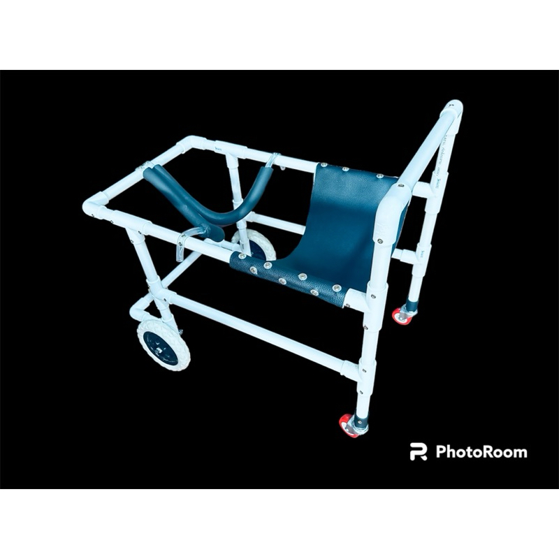 รถช่วยพยุงเดินสำหรับสุนัข