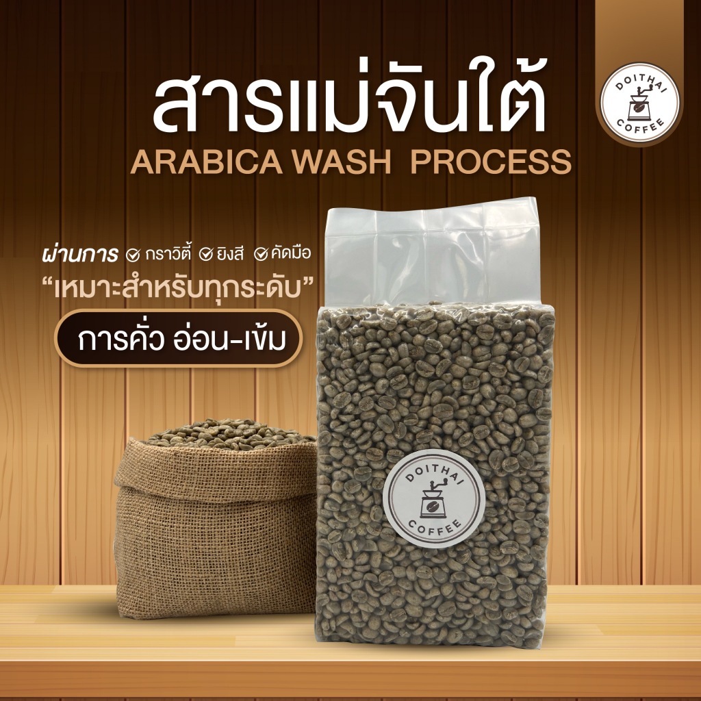 สารกาแฟอาราบิก้า แม่จันใต้ Washed Process เกรด Specialty ปี 2024