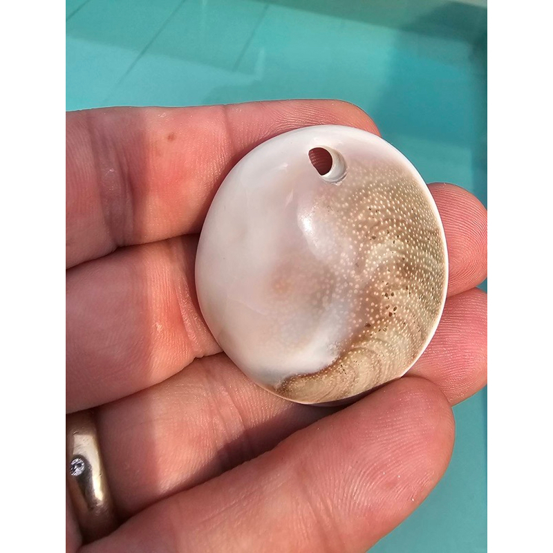 จี้เปลือกหอย Shiva Shell สำหรับร้อยเชือกหนัง หรือเชือกถัก เปลือกหอย Operculum จี้ Shiva Eye Shell