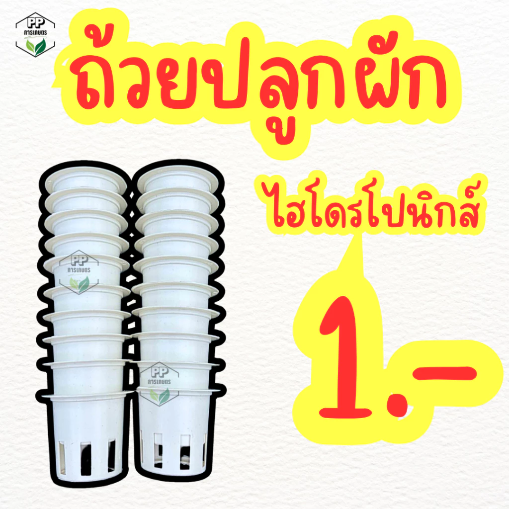 ถ้วยปลูกผักไฮโดรโปนิกส์ สีขาว ใช้ซ้ำได้ พลาสติกอย่างดีเกรด AAA+