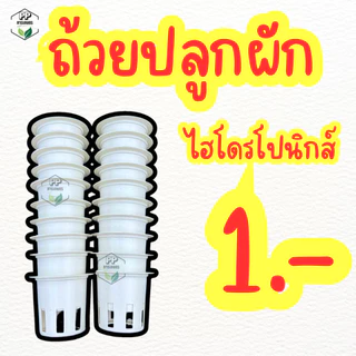 ถ้วยปลูกผักไฮโดรโปนิกส์ สีขาว ใช้ซ้ำได้ พลาสติกอย่างดีเกรด AAA+