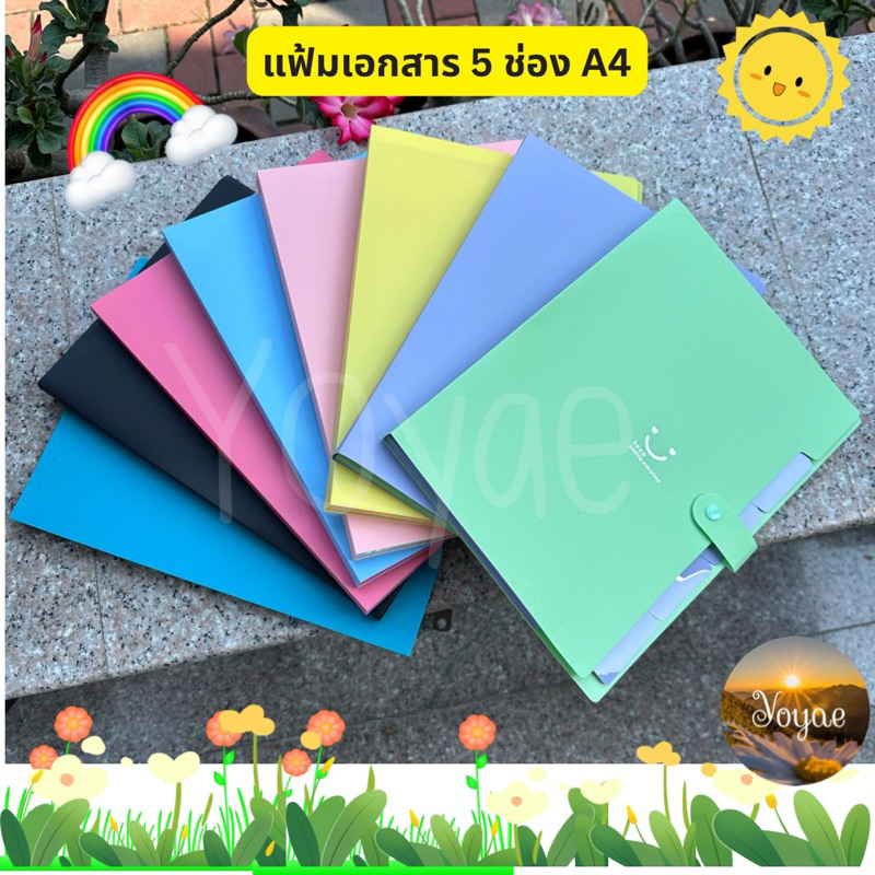 แฟ้ม A4 มีช่องแบ่ง 5 ช่อง แฟ้มพลาสติก สีสวย มินิมอล