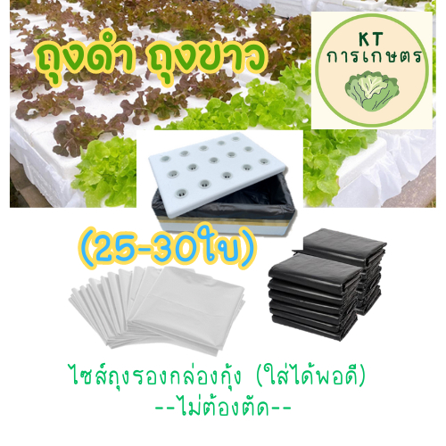 ถุงดำ ถุงขาว ปลูกผักไฮโดรโปนิกส์ ถุงรองกล่องโฟม ถุงรองกล่องกุ้ง (ใส่ได้พอดี)