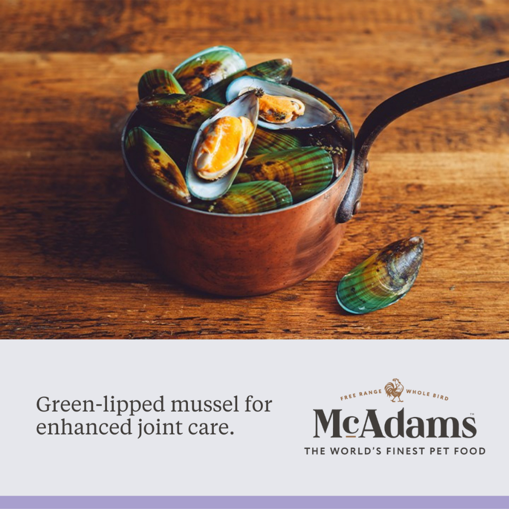 McAdams Senior/Light Free Range Chicken แมคอดัมส์ อาหารสุนัขสูงวัย/ลดน้ำหนัก สูตรไก่ฟรีเรนจ์ ไขมันต่ำ บำรุงข้อต่อ - รูปที่ 3