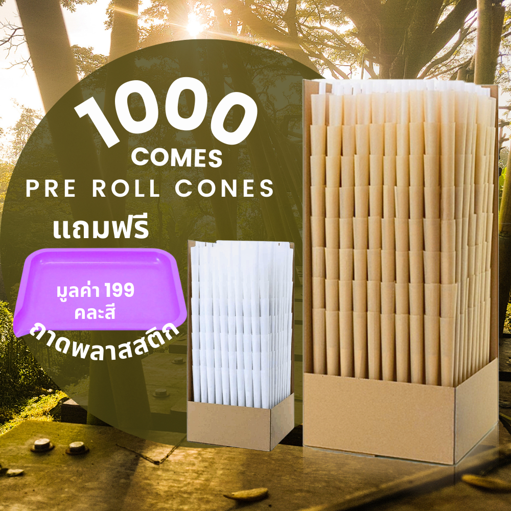 [ ส่งด่วน ] พร้อมส่ง !!! Pre-Rolled โรลสำเร็จรูป ขนาด 78 84 98110 mm 1000 cones สีขาว