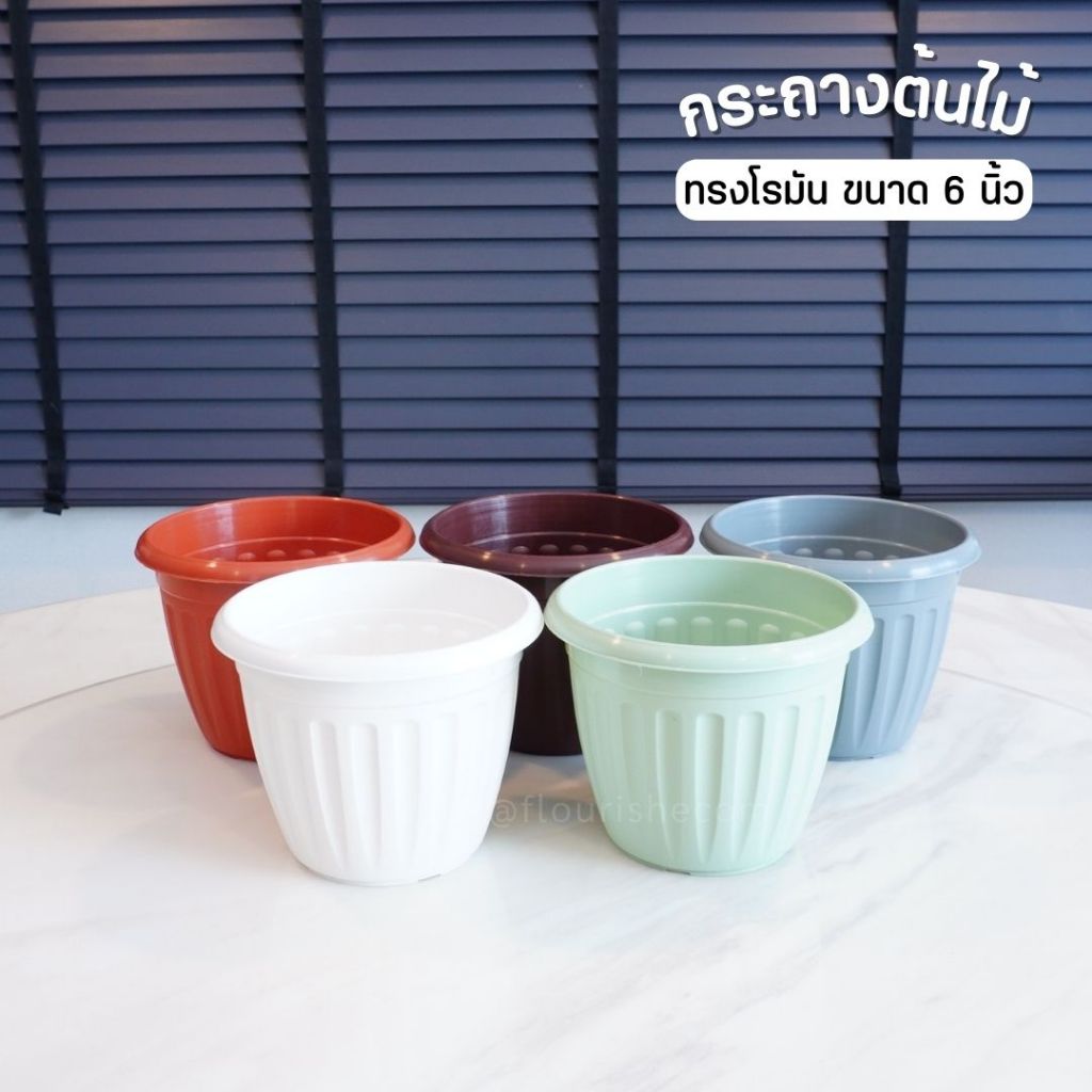 กระถางต้นไม้ ทรงโรมัน ขนาด 6 นิ้ว ขายปลีก1ใบ
