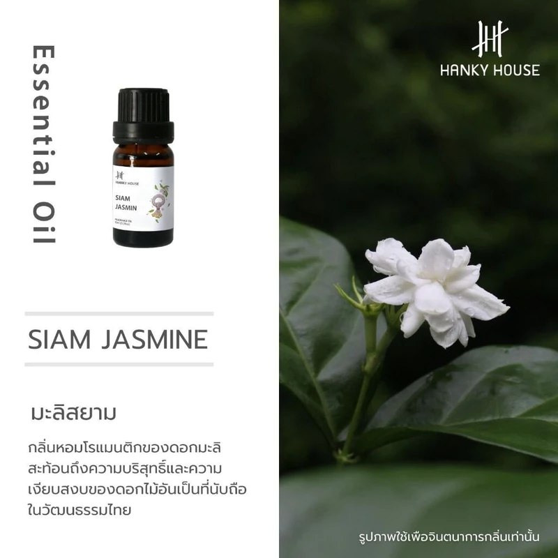 Hanky House น้ำมันหอมระเหย Scent of Siam น้ำหอมอโรม่า กลิ่นไทย Perfume Aroma Essential 10ml.