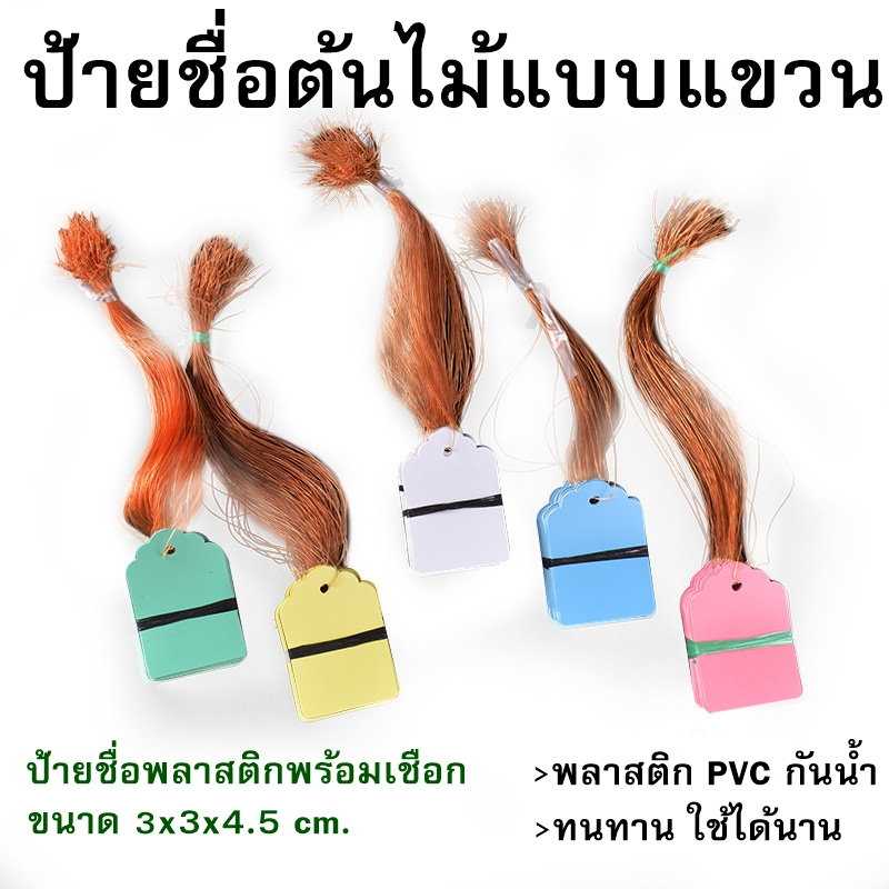 ป้ายชื่อต้นไม้แบบแขวน พลาสติก PVC กันน้ำ 100 ชิ้น/มัด พร้อมเชือก ป้ายชื่อต้นไม้ 3x4.5 cm.