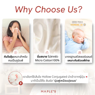 MAPLE'S ผ้าปูออเเกนิคคอตตอน สําหรับคนขี้ร้อน ฟูก10-14นิ้ว​ รัดมุม กันไรฝุ่น 3.5 5 6ฟุต ผ้าปูฝ้าย