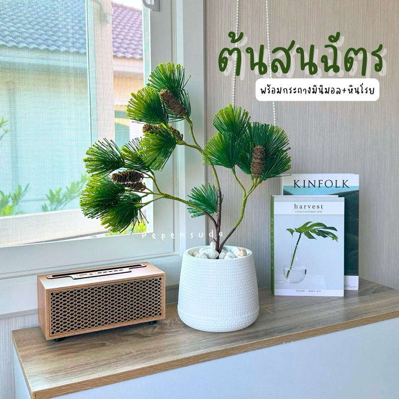 ต้นสนฉัตร (ฟรี!!หินโรย) สูง 50 ซม. พร้อมกระถางมินิมอลขาว ต้นไม้ปลอมตกแต่งบ้าน ร้านอาหาร คอนโด