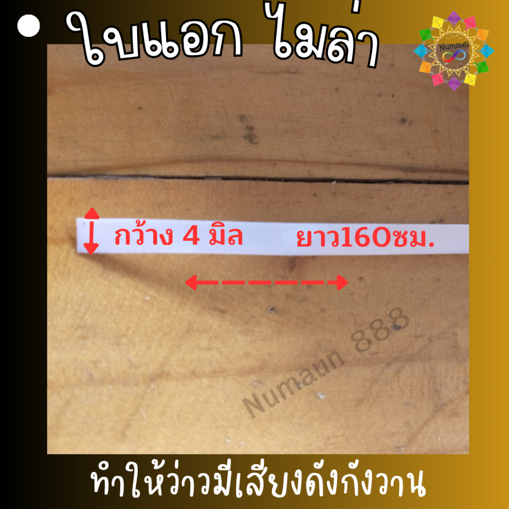 ใบแอกว่าว สายแอกหรือเส้นเสียงทำให้ว่าวมีเสียงดังกังวาน สายแอกว่าว ใบแอก ขนาดกว้าง 4 มิล.ยาว 160 ซม.