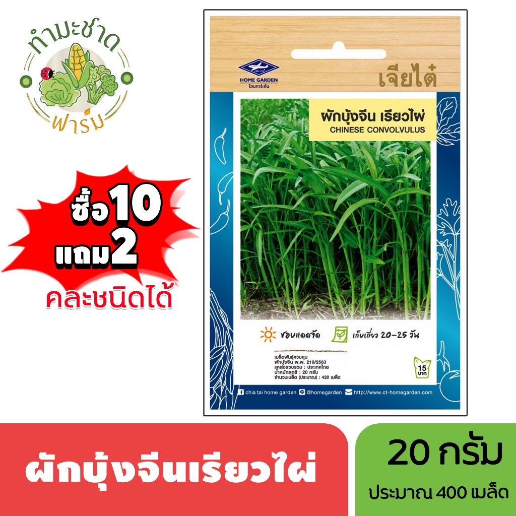 เจียไต๋ (ซื้อ10แถม2) เมล็ดพันธุ์ ผักบุ้งจีนเรียวไผ่ ขนาด20กรัม ประมาณ420เมล็ด Water Spinach ผักบุ้งจีนใบไผ่ เมล็ดพันธุ์พ