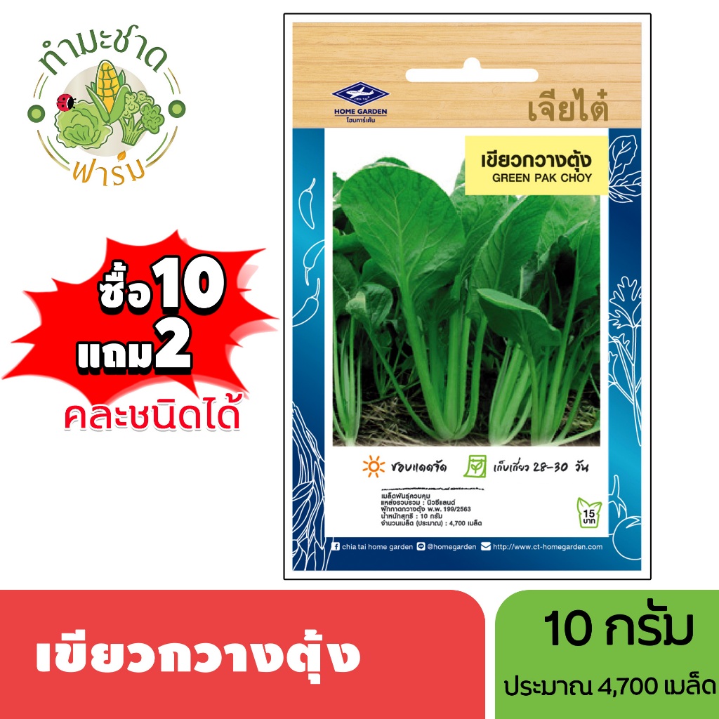 เจียไต๋ (ซื้อ10แถม2) เมล็ดพันธุ์ เขียวกวางตุ้ง ขนาด10กรัม ประมาณ4,700เมล็ด Pak Choy กวางตุ้ง เมล็ดพันธุ์พืช เมล็ดผัก ปลู