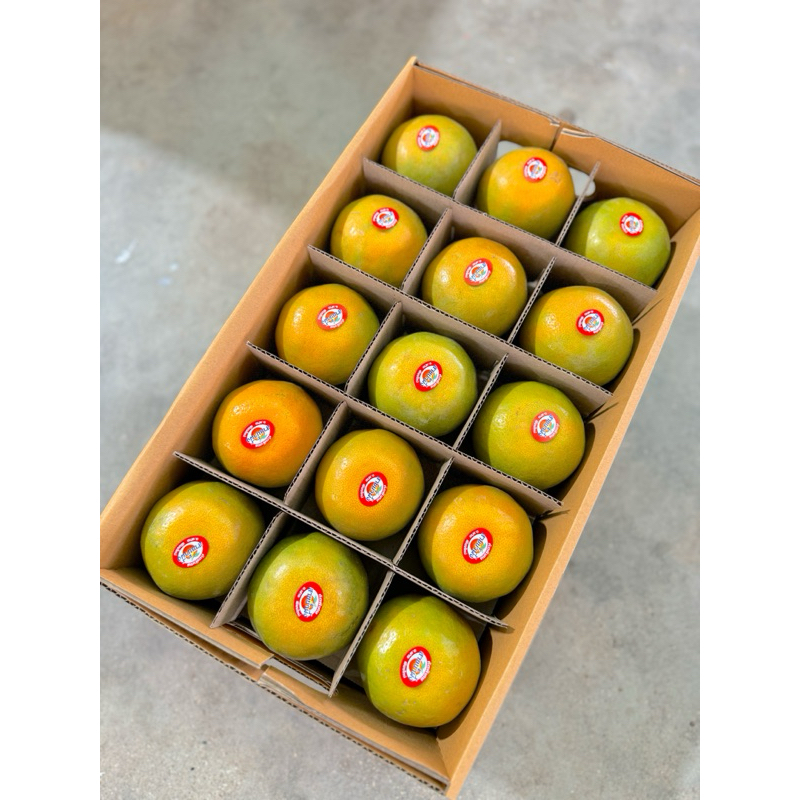 รูปภาพ 5