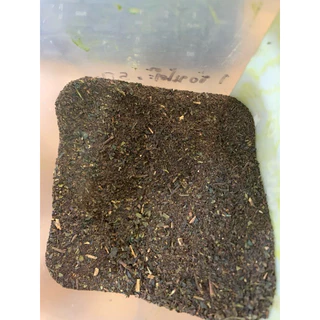 Green Tea 2 ชาเขียว คอฟฟี่ ดี สูตร 2
