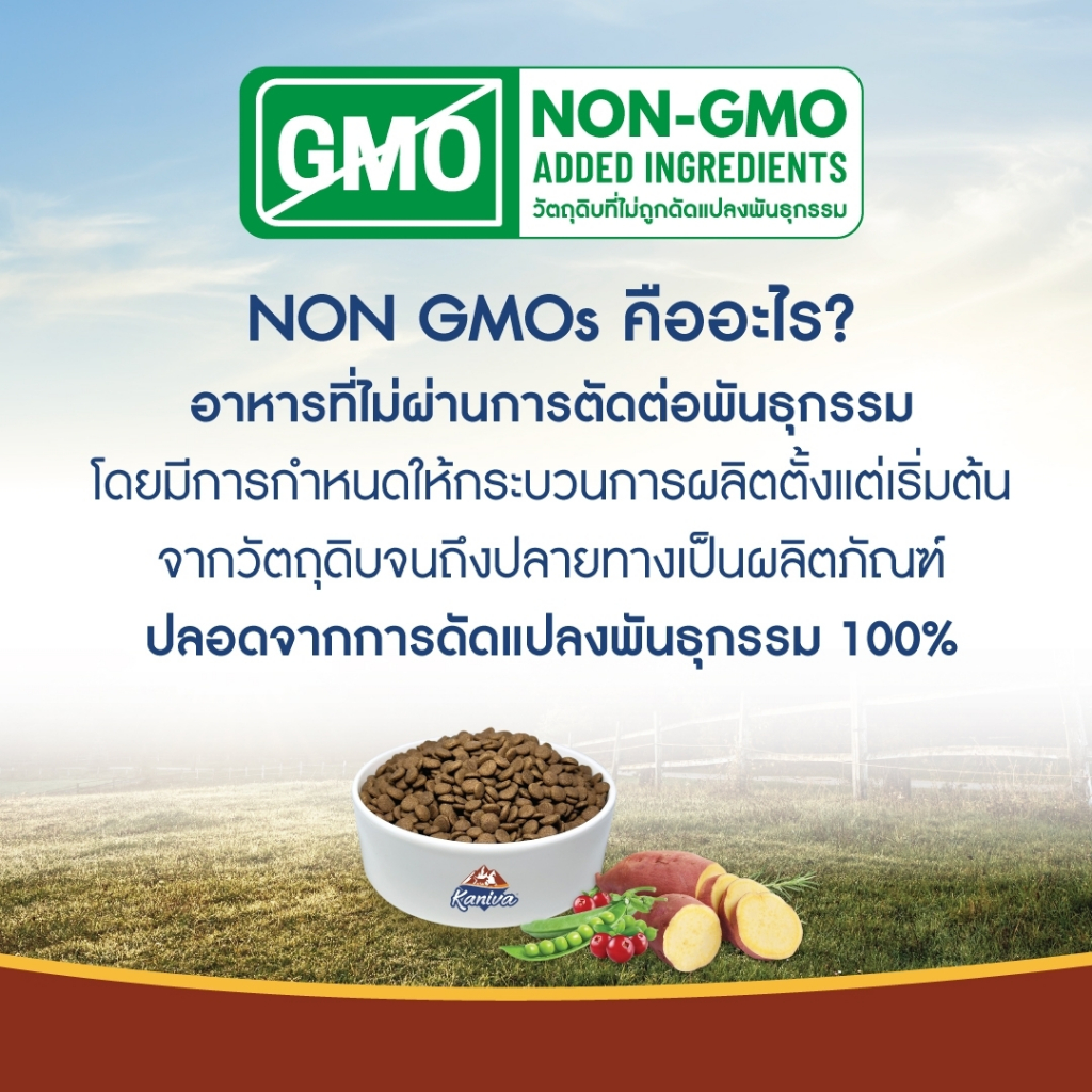 Kaniva Grain Free Salmon 7 KG. อาหารแมว สูตรเกรนฟรี เนื้อปลาแซลมอนและปลาทูน่า - รูปที่ 5