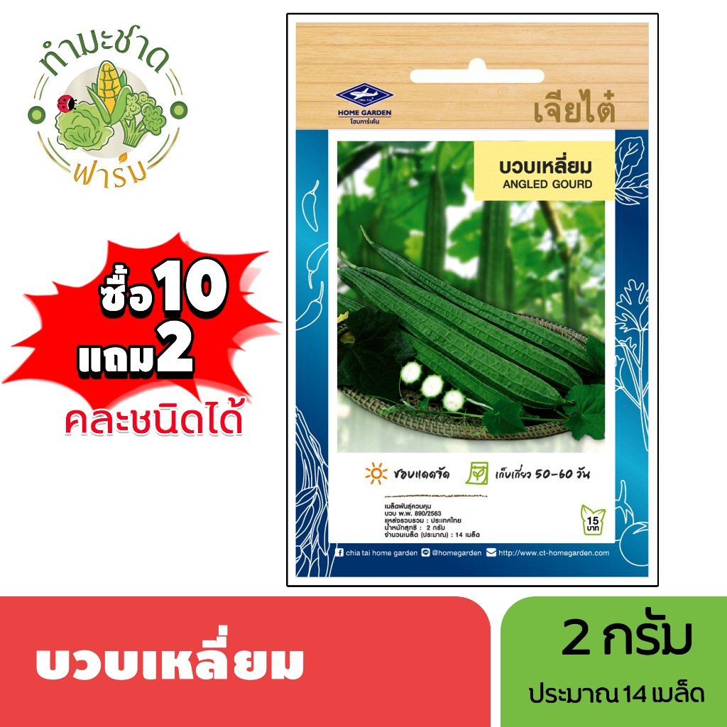 เจียไต๋ (ซื้อ10แถม2) เมล็ดพันธุ์ บวบเหลี่ยม ขนาด2กรัม ประมาณ14เมล็ด Ridge Gourd บวบ เมล็ดพันธุ์พืช เมล็ดผัก ปลูกผักสวนคร