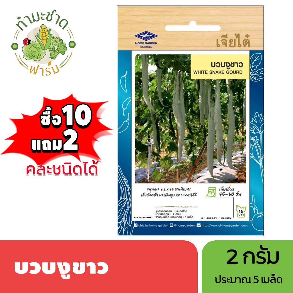 เจียไต๋ (ซื้อ10แถม2) เมล็ดพันธุ์ บวบงูขาว ขนาด2กรัม ประมาณ5เมล็ด White Snake Gourd บวบงู เมล็ดพันธุ์พืช เมล็ดผัก ปลูกผัก