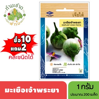 เจียไต๋ (ซื้อ10แถม2) เมล็ดพันธุ์ มะเขือเจ้าพระยา ขนาด1กรัม ป…