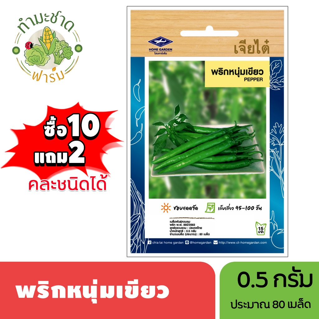 เจียไต๋ (ซื้อ10แถม2) เมล็ดพันธุ์ พริกหนุ่มเขียว ขนาด0.5กรัม ประมาณ80เมล็ด Paprika Pepper Chilli พริกหนุ่ม เมล็ดพันธุ์พืช