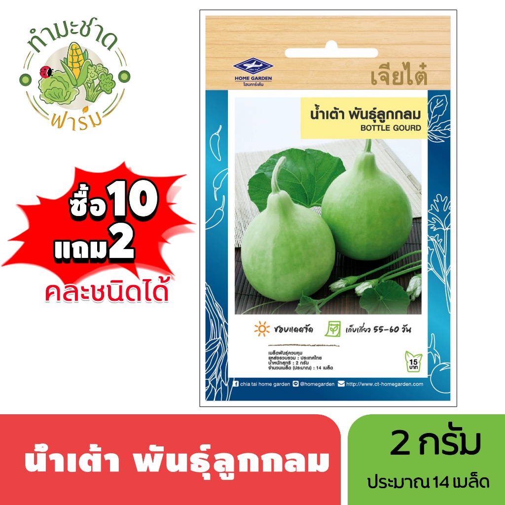 เจียไต๋ (ซื้อ10แถม2) เมล็ดพันธุ์ น้ำเต้าพันธุ์ลูกกลม ขนาด2กรัม ประมาณ14เมล็ด Bottle Gourd น้ำเต้า เมล็ดพันธุ์พืช เมล็ด