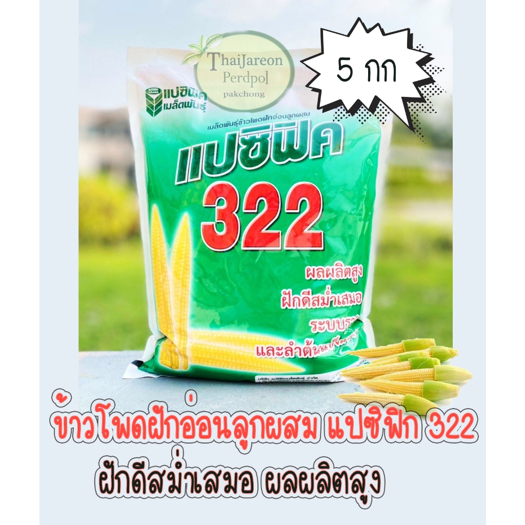 เมล็ดพันธุ์ข้าวโพดฝักอ่อน แปซิฟิค322 ข้าวโพดแอ้ บรรจุโรงงาน 5 กก  ผลผลิตสูง รากแข็งแรง