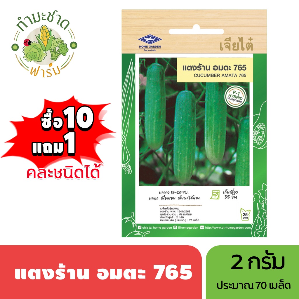 เจียไต๋ (ซื้อ10แถม1) เมล็ดพันธุ์ แตงร้านอมตะ ขนาด2กรัม ประมาณ70เมล็ด Cucumber แตงร้าน เมล็ดพันธุ์พืช เมล็ดผัก ปลูกผักสวน