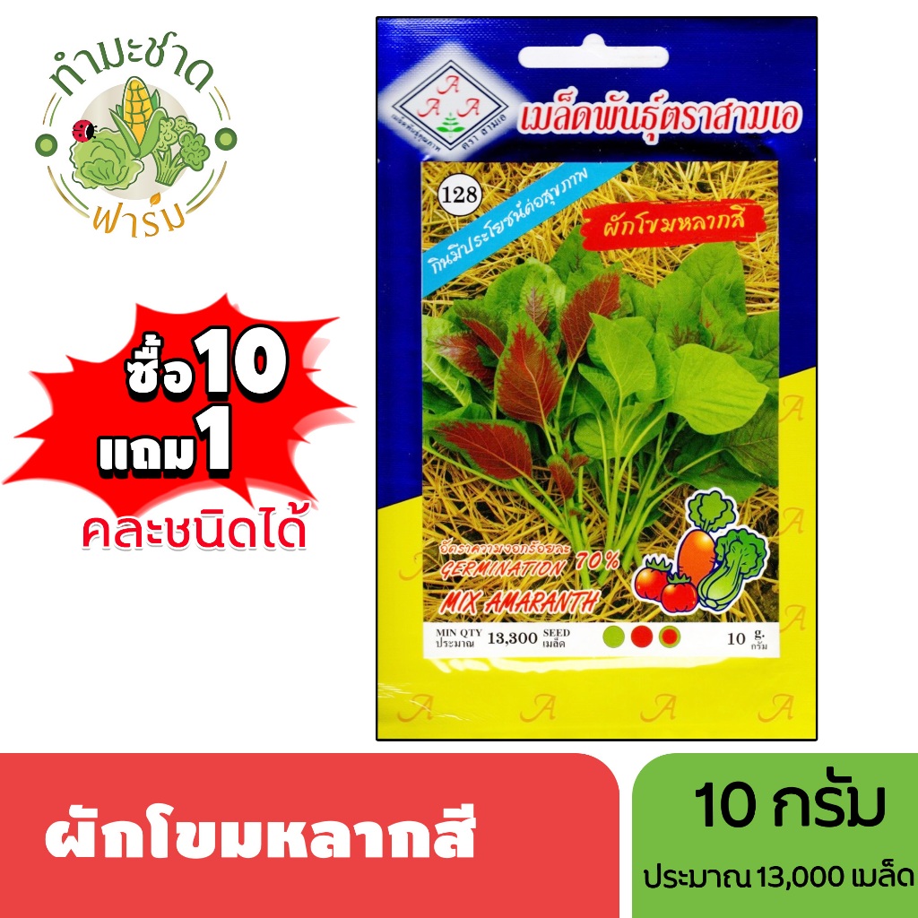 3A (ซื้อ10แถม1) เมล็ดพันธุ์ ผักโขมหลากสี ขนาด 10 กรัม ประมาณ 13,300 เมล็ด MIX AMARANTH ผักโหม ผักขม ผักโหมเกลี้ยง เมล็ด