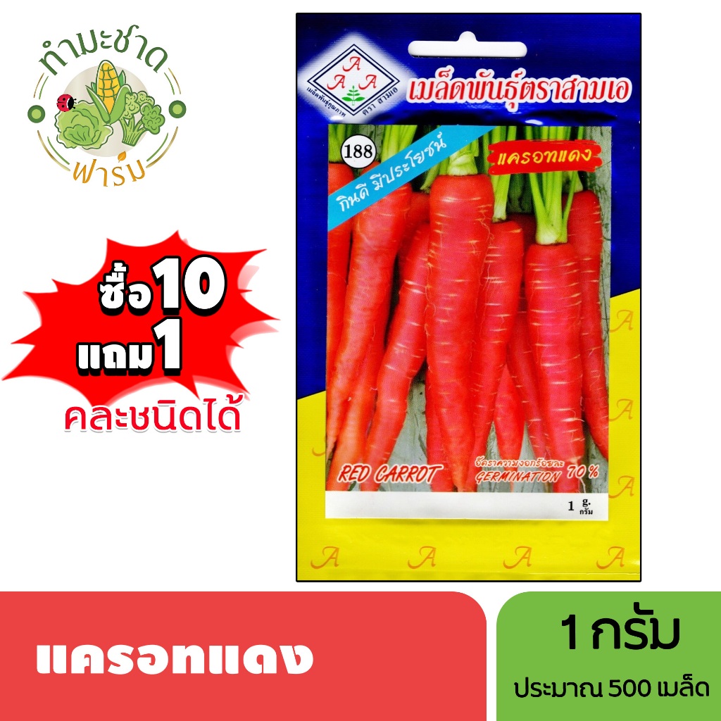 3A (ซื้อ10แถม1) เมล็ดพันธุ์ แครอทแดง ขนาด1กรัม ประมาณ 500 เมล็ด RED CARROT ผักกาดแดง ผักกาดเหลือง ผักชีแดง เมล็ดพันธุ์