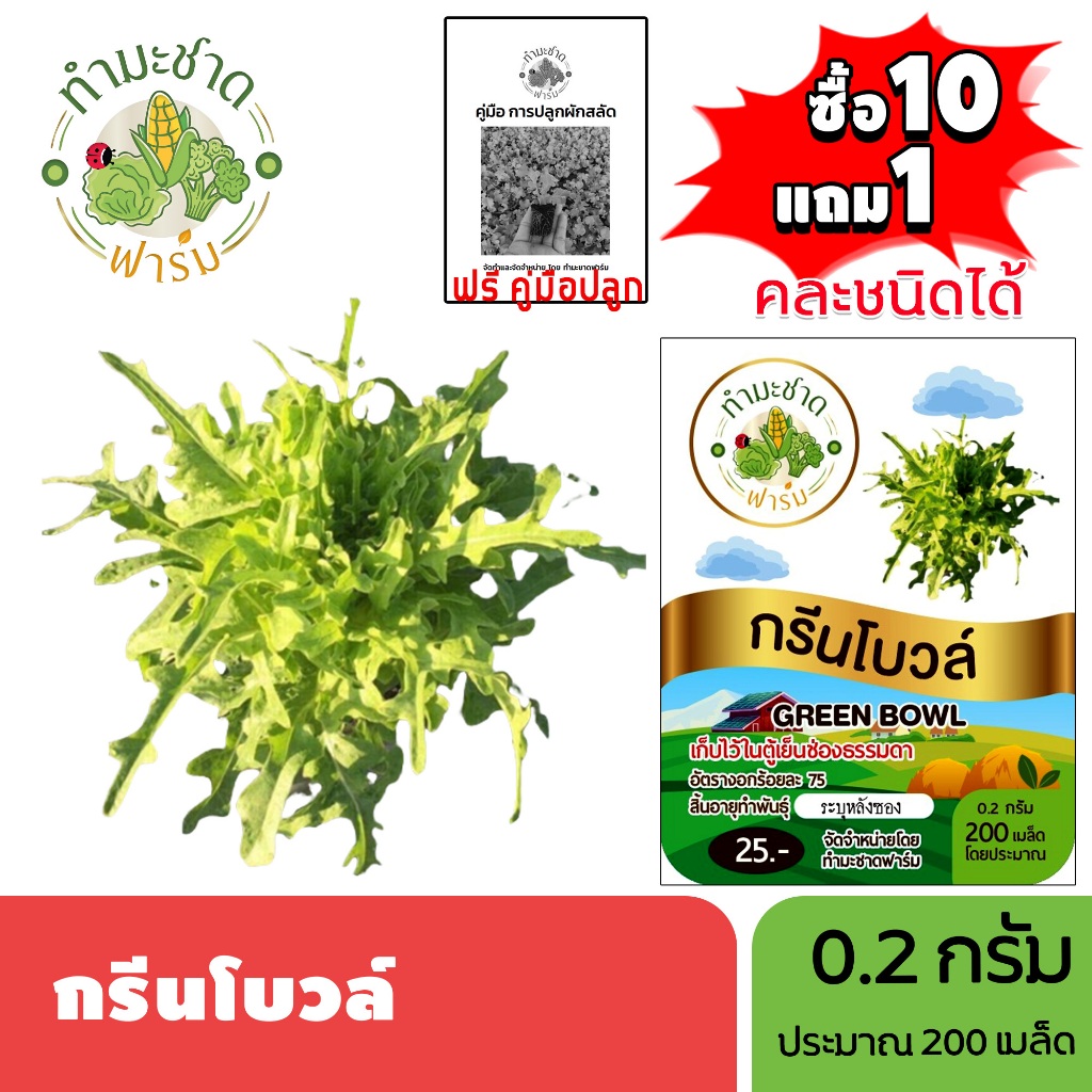 ทำมะชาดฟาร์ม (ซื้อ10แถม1) เมล็ดพันธุ์ กรีนโบวล์ ขนาด0.2กรัม ประมาณ200เมล็ด GREEN BOWL ผักสลัด เมล็ดพันธุ์พืช เมล็ดผัก
