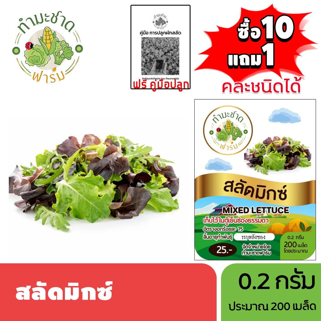 ทำมะชาดฟาร์ม (ซื้อ10แถม1) เมล็ดพันธุ์ สลัดมิกซ์ ขนาด0.2กรัม ประมาณ200เมล็ด MIXED LETTUCE ผักสลัด เมล็ดพันธุ์พืช เมล็ดผัก
